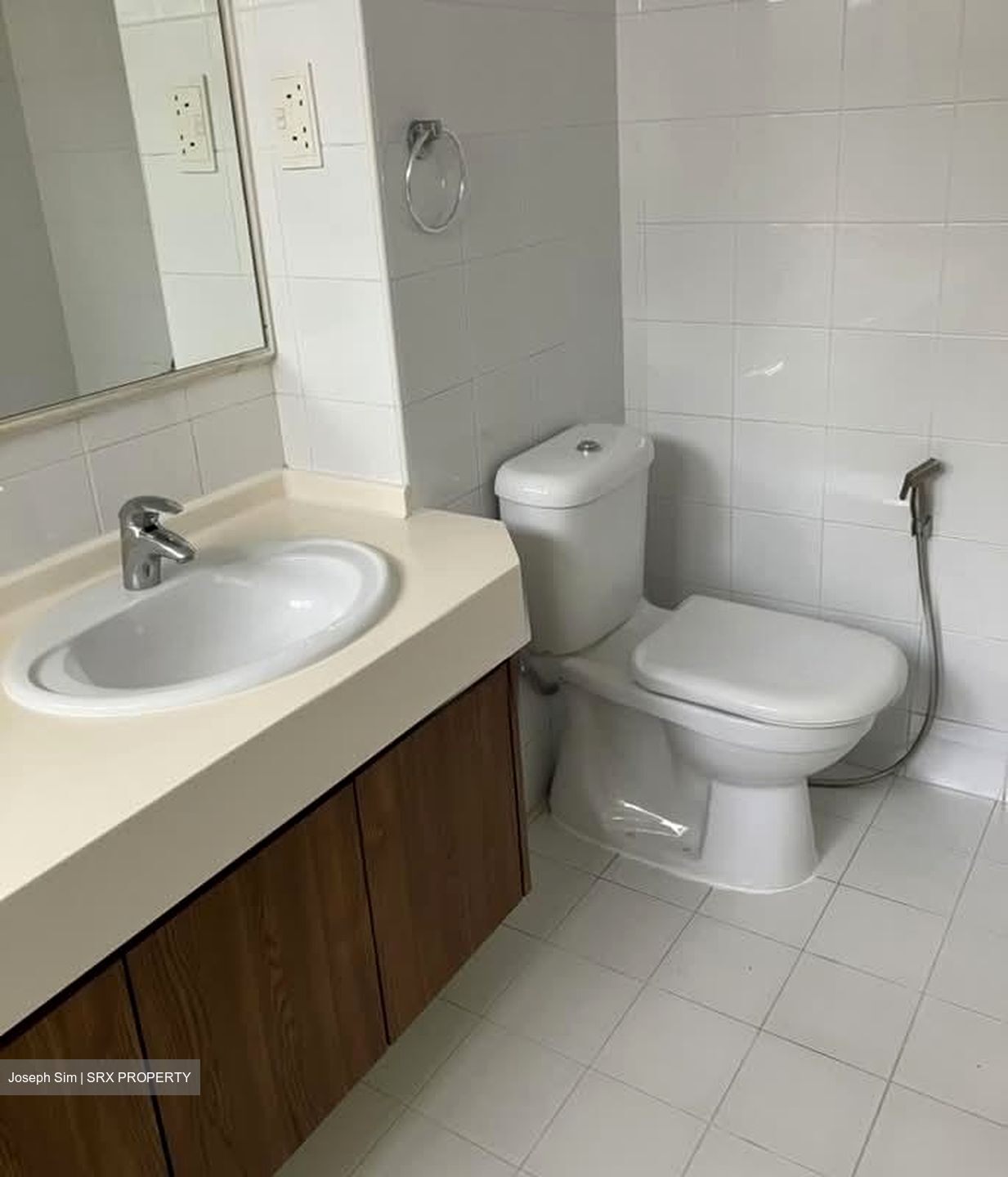 Tanglin Park (D10), Condominium #564026801